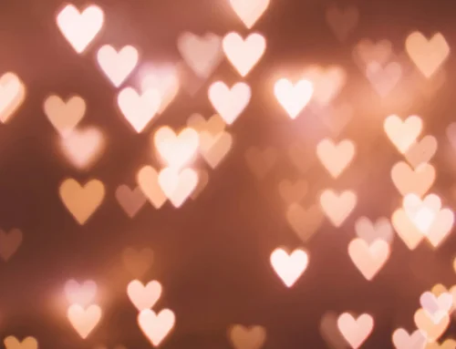 Bedingungslose Liebe? Meistens…